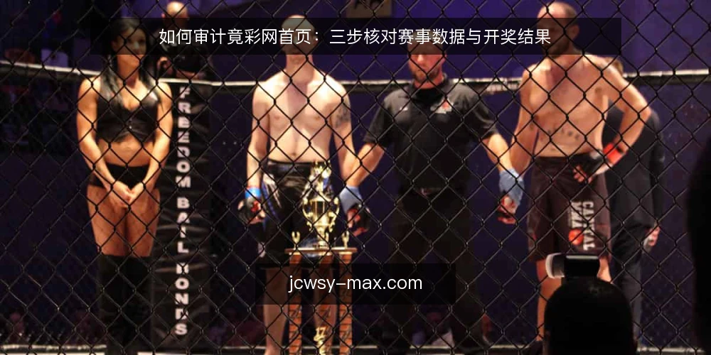 如何审计竟彩网首页:三步核对赛事数据与开奖结果 — 为何现在需要审计竟彩网首页 配图